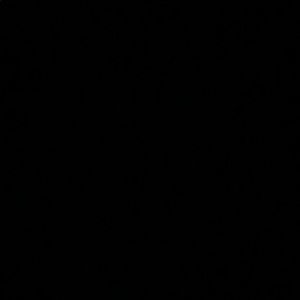 Meet your Posher, Deisy